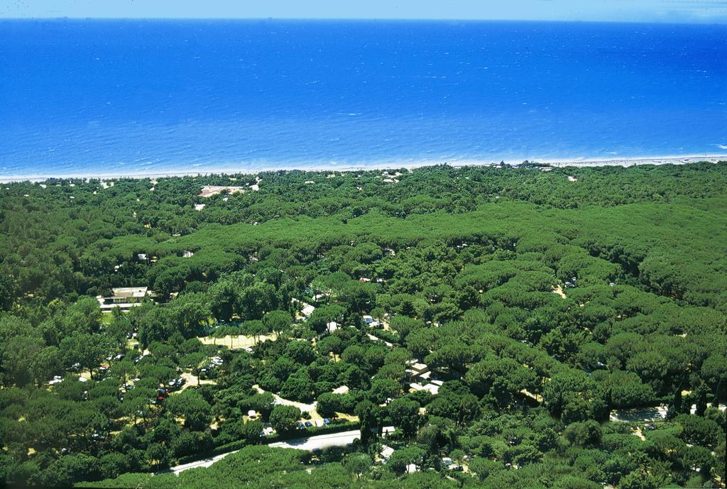 Le Esperidi Camping Ecoresort Marina Di Bibbona Exterior photo