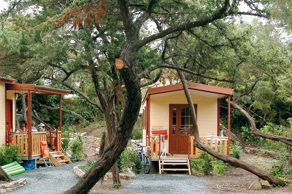 Le Esperidi Camping Ecoresort Marina Di Bibbona Room photo